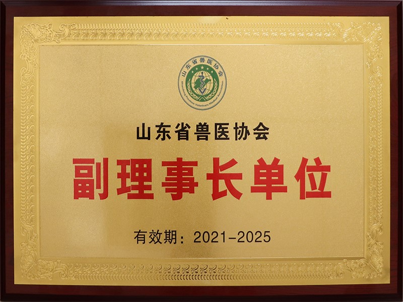 1fff5647-f298-4746-a2ca-eeba7d68e6ee