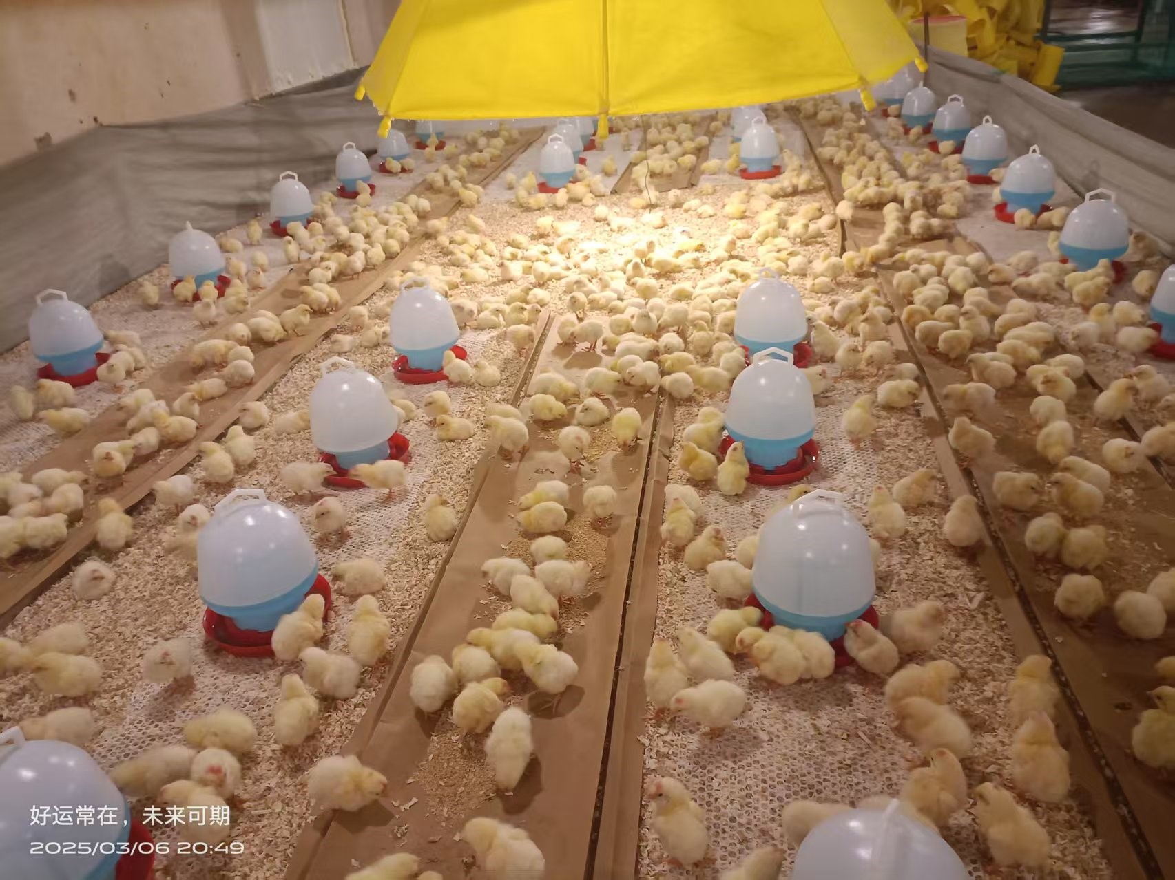 �����֡�ϲѶ��1277�Ǽʵ�����Ϸ�ɷݳɹ��ӷ�����������������ּ�