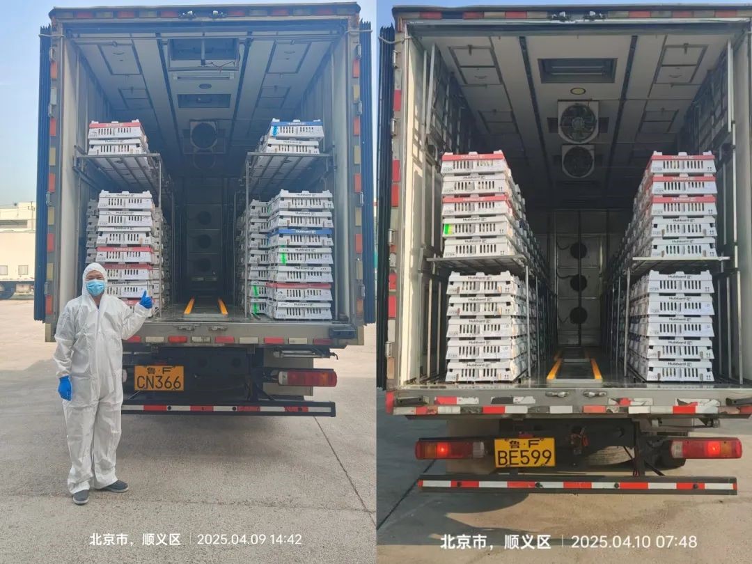 �����֡�����ǰ��縺������ʳ��ȫ�ĳ��Ρ���1277�Ǽʵ�����Ϸ�ɷݵ����������˳������