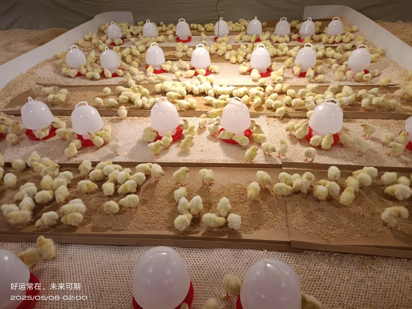 ��ϲѶ��1277�Ǽʵ�����Ϸ�ɷݰ����⼦�����ٴ��¸� ��Դս�����β�ҵ����