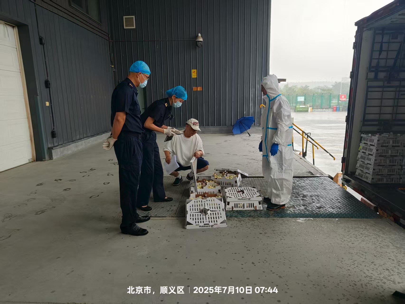 ��ϲѶ��ʢ��������ʢ��������1277�Ǽʵ�����Ϸ�ɷݵ�����������������ּ�˳���뾳