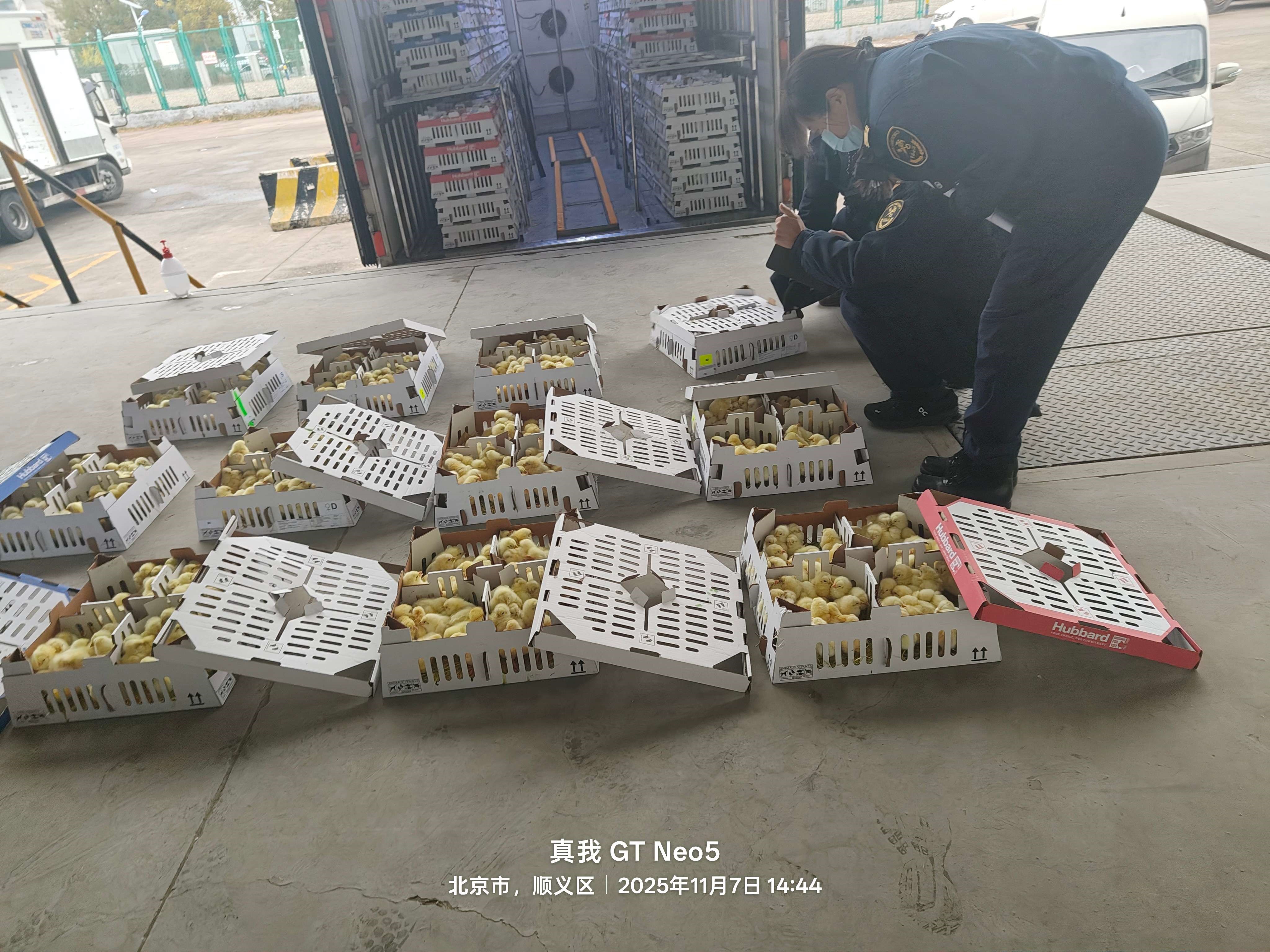 �����֡�1277�Ǽʵ�����Ϸ�ɷ����ڵ�ʮ��������ּ�˳���뾳 �ۼ�����ռȫ������